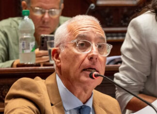 Interpelación al ministro Negro: seguridad, narcotráfico y el debate sobre el Plan Nacional en el Senado