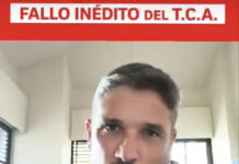 Fallo histórico: el TCA anula multas en Salto y marca un precedente jurídico