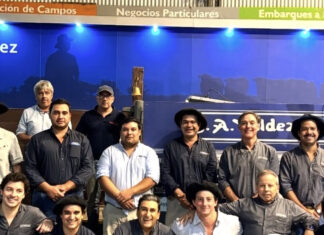 Ternerazo en Don Tito: más de 2.800 vacunos a US$ 655 de promedio