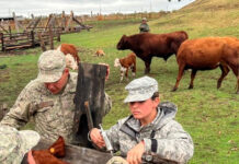 Defensa prohíbe a la Armada la cría de ganado
