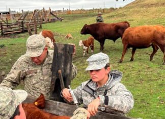 Defensa prohíbe a la Armada la cría de ganado