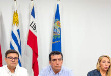 Articulación institucional contra el bullying infantil