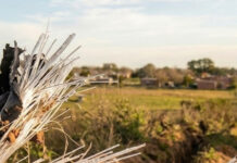Caos en Salto: Robo de fibra óptica deja zonas sin señal