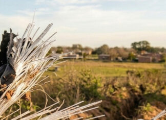 Caos en Salto: Robo de fibra óptica deja zonas sin señal