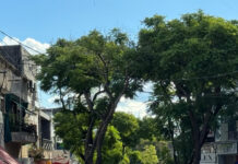 Golpeada y convulsionando: reingresa tras salir del hospital