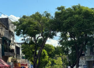 Golpeada y convulsionando: reingresa tras salir del hospital