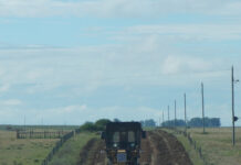 Avanza recuperación del camino Buey Negro en Salto
