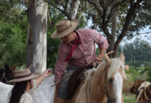 Pruebas de riendas: inició el campeonato en Salto