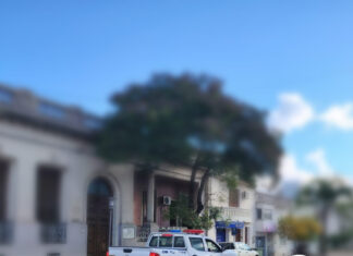 Adolescente detenido por intento de hurto en shopping