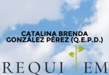 CATALINA BRENDA GONZÁLEZ PÉREZ (Q.E.P.D.)