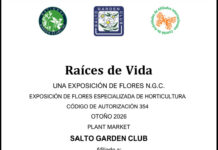 Raíces de Vida: exposición floral y horticultura en Salto