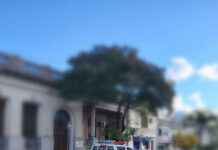 Detención ciudadana, robos y hurto en comercio: tres casos en pocas horas