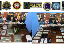 Golpe histórico al narcotráfico: bandas y millones incautados.