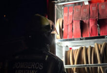 Un auto sufrió pérdidas parciales en el motor tras prenderse fuego en la zona céntrica.