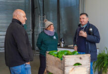 Albisu destacó el inicio de la Central Hortícola del Norte