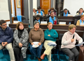 “No basta con voluntad: se necesitan recursos y políticas para las personas mayores”, reclamó REDAM ante la Junta