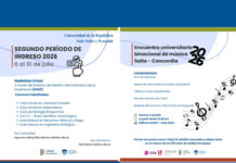 Udelar Salto y UADER tendrán encuentro binacional de música