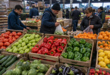 UAM: suben precios de frutas y hortalizas de invierno