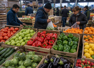 UAM: suben precios de frutas y hortalizas de invierno
