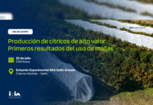 INIA presentará resultados del uso de mallas en cítricos
