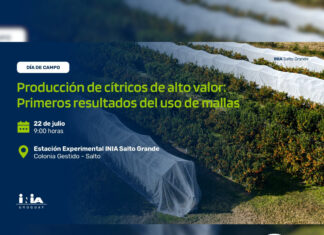 INIA presentará resultados del uso de mallas en cítricos