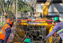 Intendencia desmiente clausuras y anuncia mejoras laborales