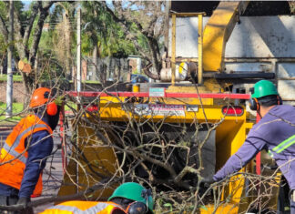 Intendencia desmiente clausuras y anuncia mejoras laborales