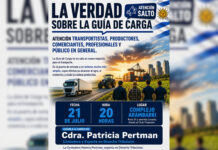 Guía electrónica de carga: cuestionan su legalidad