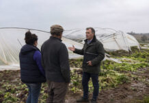MGAP declara emergencia granjera en Salto tras temporal