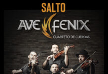 Ave fénix: cuarteto de cuerdas argentino que fusiona clásica y rock