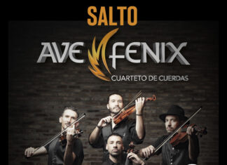 Ave fénix: cuarteto de cuerdas argentino que fusiona clásica y rock