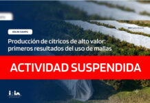 INIA suspendió jornada sobre cítricos por el temporal