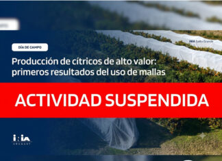 INIA suspendió jornada sobre cítricos por el temporal