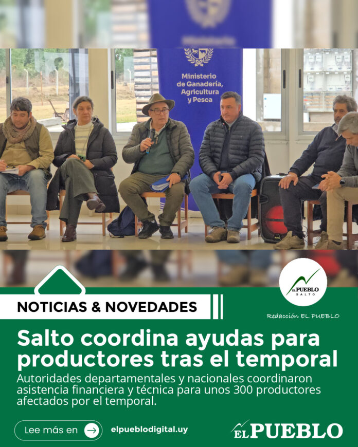 20260721160603saltocoordinaayudasparapr