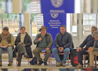 Salto coordina ayudas para productores tras el temporal
