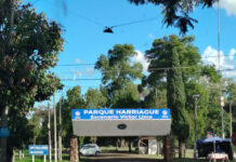 Hallazgo de restos óseos en un predio próximo al Parque Harriague.