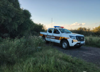 Policía Caminera recupera 83 vehículos robados en el primer semestre de 2026: el 71 % se concentró en solo cuatro departamentos.