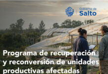 Salto activa apoyo técnico para productores afectados