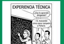 Experiencia técnica