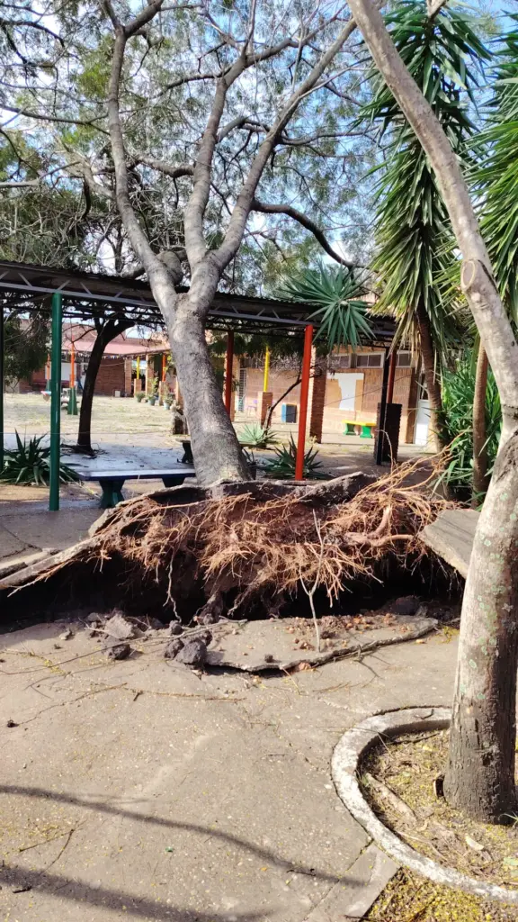 Secundaria reorganiza clases tras el temporal en Salto