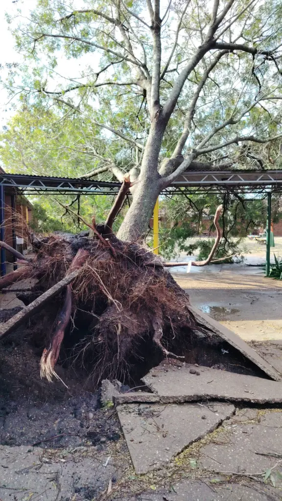 Secundaria reorganiza clases tras el temporal en Salto